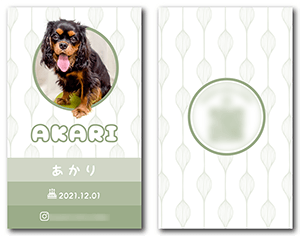 犬のペット名刺