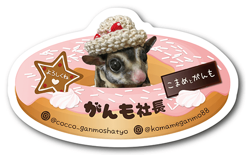 フクロモモンガのペット名刺