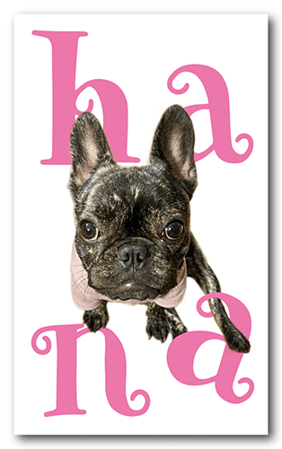 ペット名刺の表面画像