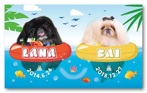長方形ペット名刺画像
