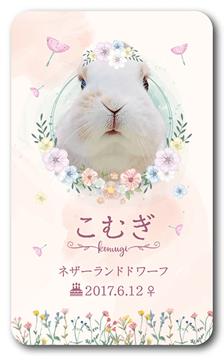 長方形ペット名刺の表面画像