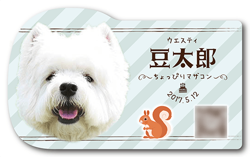 型抜きペット名刺の表面画像