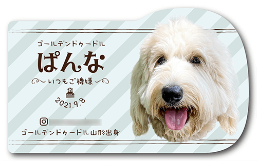 型抜きペット名刺の裏面画像