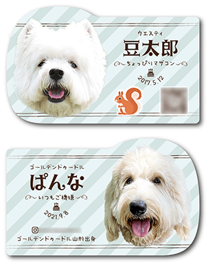 犬（多頭飼い）のペット名刺