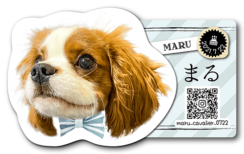 型抜きペット名刺画像