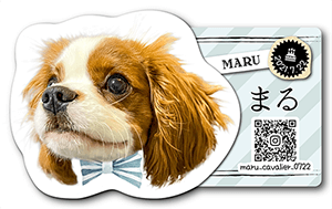 犬のペット名刺