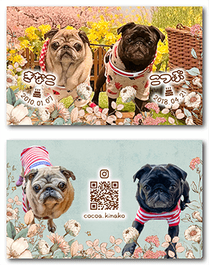 犬のペット名刺