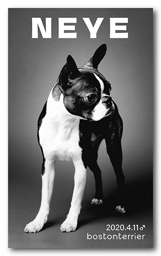 ペット名刺の表面画像