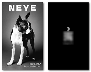 犬の両面ペット名刺