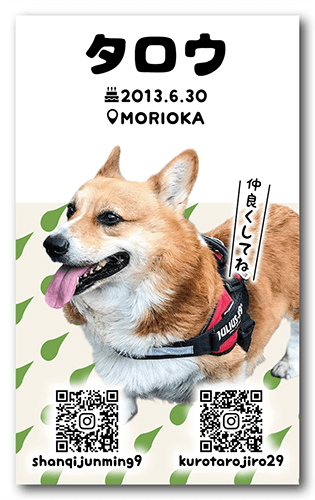 ペット名刺の表面画像