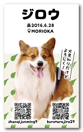 ペット名刺の裏面画像