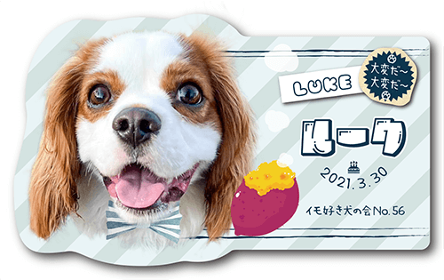 型抜きペット名刺の表面画像