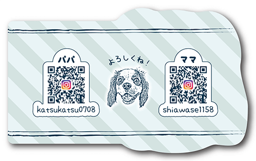 型抜きペット名刺の裏面画像