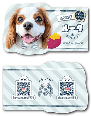 犬のペット名刺