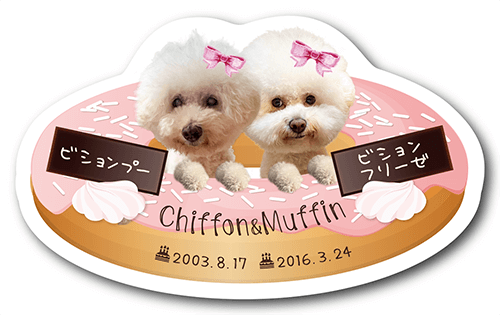 型抜きペット名刺の表面画像