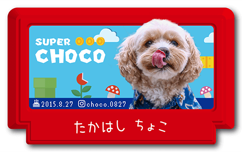 ペット名刺画像