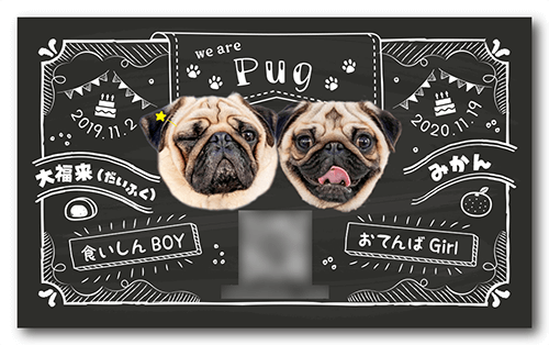 長方形ペット名刺の裏面画像