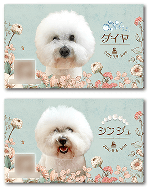 犬のペット名刺