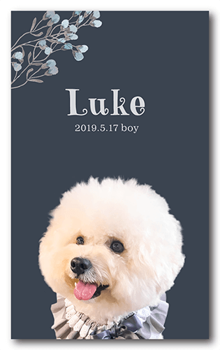 ペット名刺の表面画像