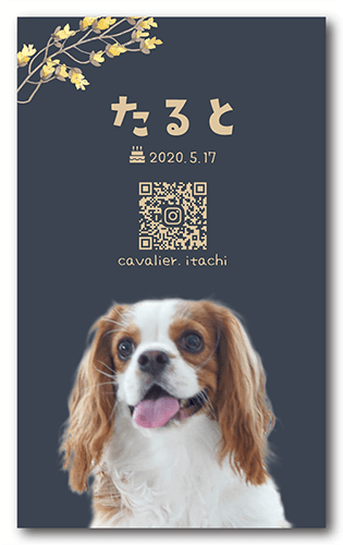 ペット名刺の表面画像