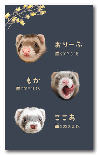 ペット名刺の裏面画像