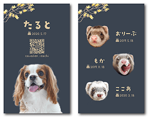犬のペット名刺