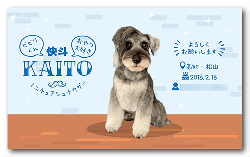 長方形ペット名刺の裏面画像