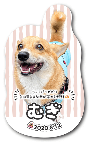 型抜きペット名刺の表面画像
