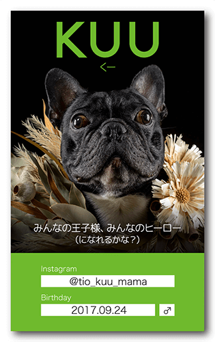 ペット名刺の表面画像