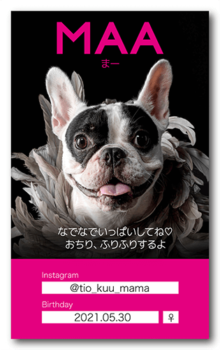 ペット名刺の裏面画像