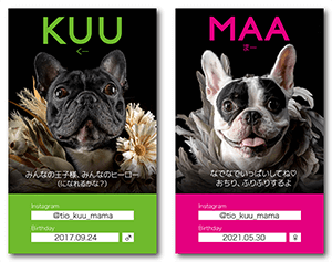 犬のペット名刺