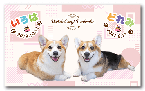 長方形ペット名刺の表面画像