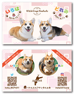 犬のペット名刺