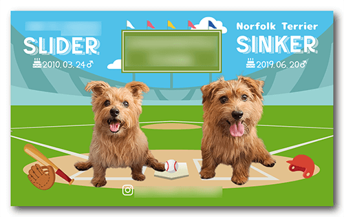 長方形ペット名刺の表面画像