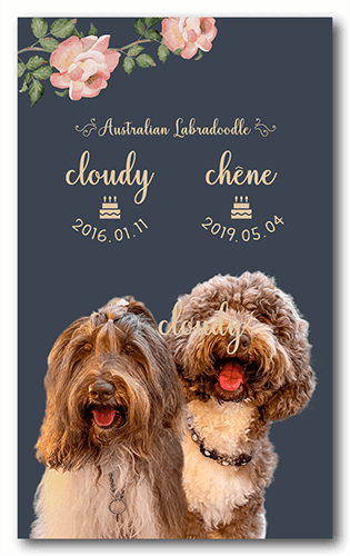 ペット名刺の表面画像