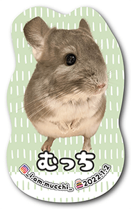 犬のペット名刺