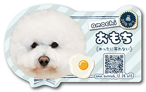 犬のペット名刺