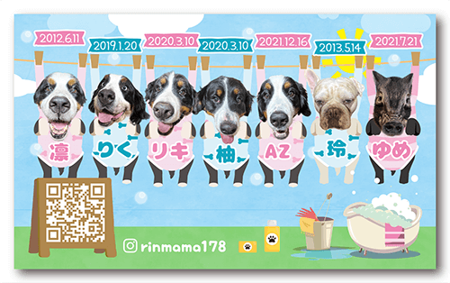 犬（多頭飼い）の長方形ペット名刺画像