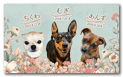 長方形ペット名刺の表面画像