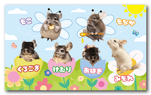 長方形ペット名刺の表面画像