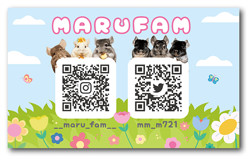 長方形ペット名刺の裏面画像