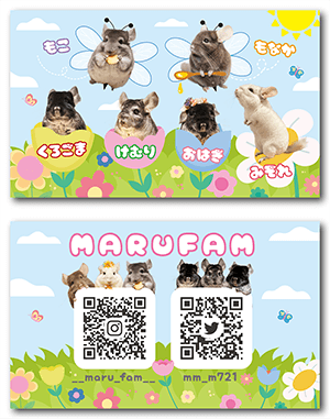 チンチラのペット名刺