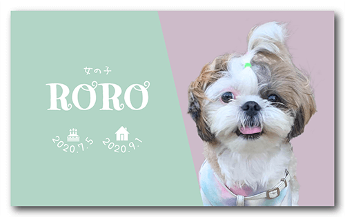 長方形ペット名刺の表面画像