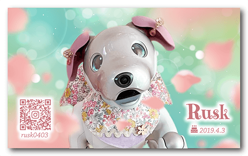 アイボの長方形ペット名刺画像