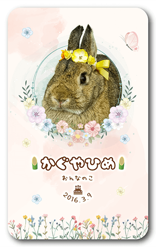 長方形ペット名刺の表面画像