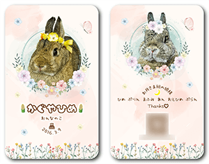 犬のペット名刺