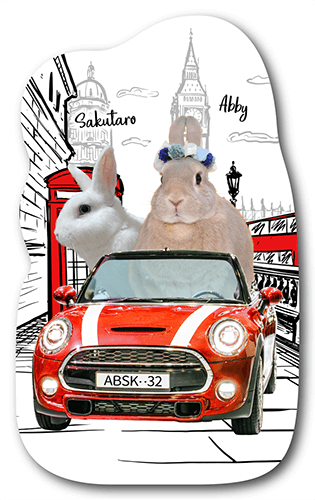 型抜きペット名刺の表面画像