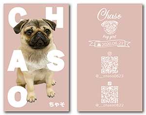 犬の両面ペット名刺