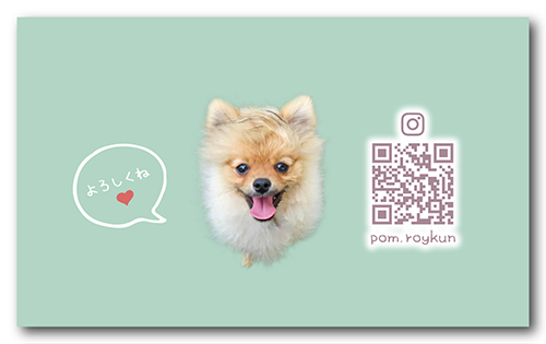 長方形ペット名刺の裏面画像