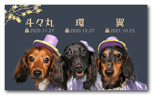 ペット名刺の表面画像